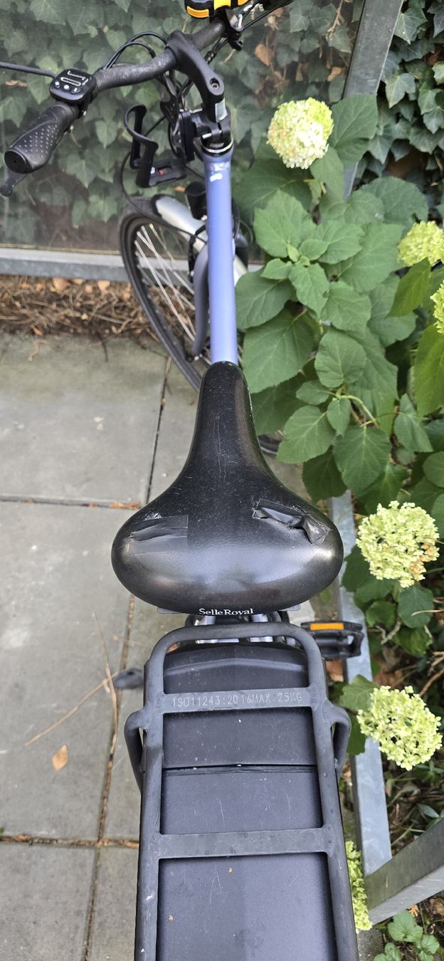 Leopard Biciclette: Leopard E-Bike EasyMan 28", 52 cm – Usato da Bern venduto da Fabiian12 3