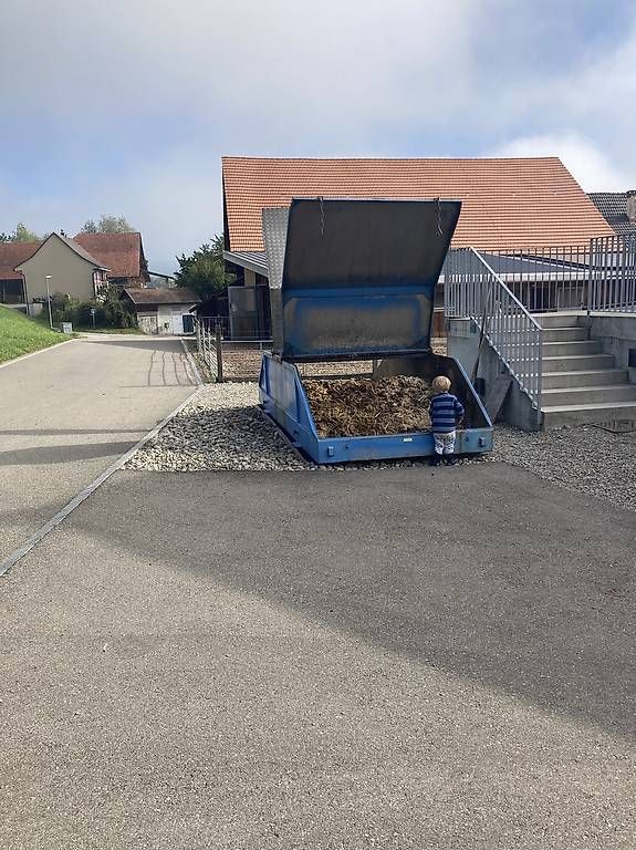 Piante & sementi: Pferdemist für Garten GRATIS – Usato da Herdern venduto da FamilieEngel 2