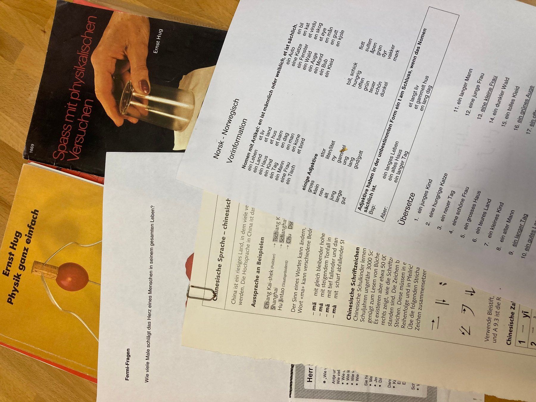 Libri: Begabungsförderung – Usato da Winterthur venduto da maba14 3