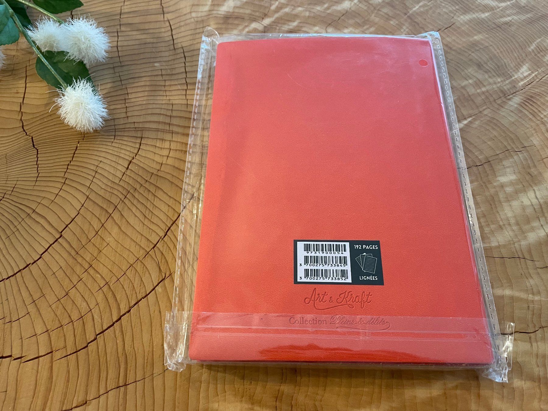Schreibblöcke: NEU!!! "Katze" Notizbuch / carnet de notes motif chat A5 – Neu und originalverpackt aus Zürich von AnnaSa 2
