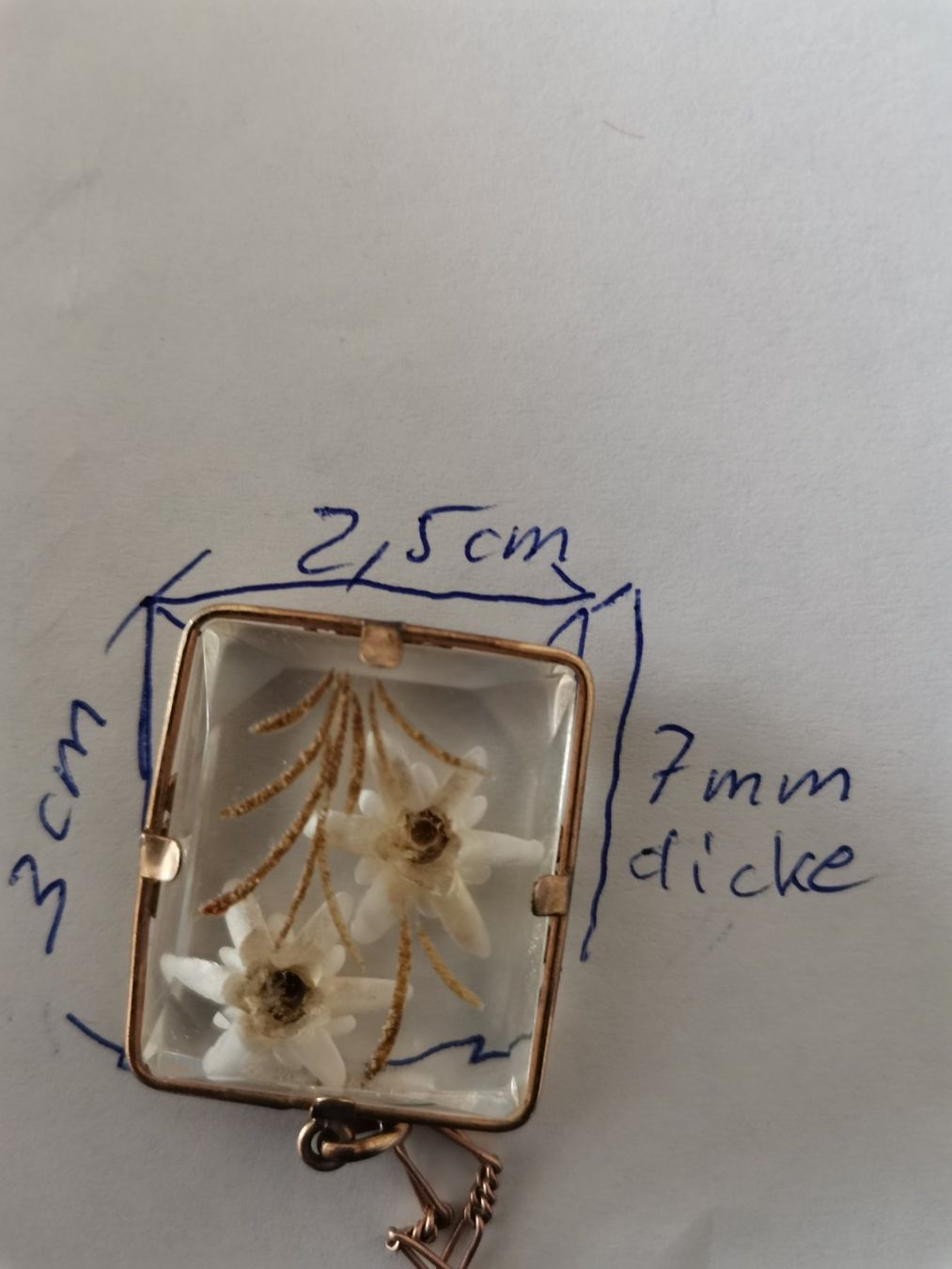 Edelweiss Anhänger: Echte Edelweissanhänger sehr schön eingefasst – Neu (gemäss Beschreibung) aus Seuzach von Tritis01 8
