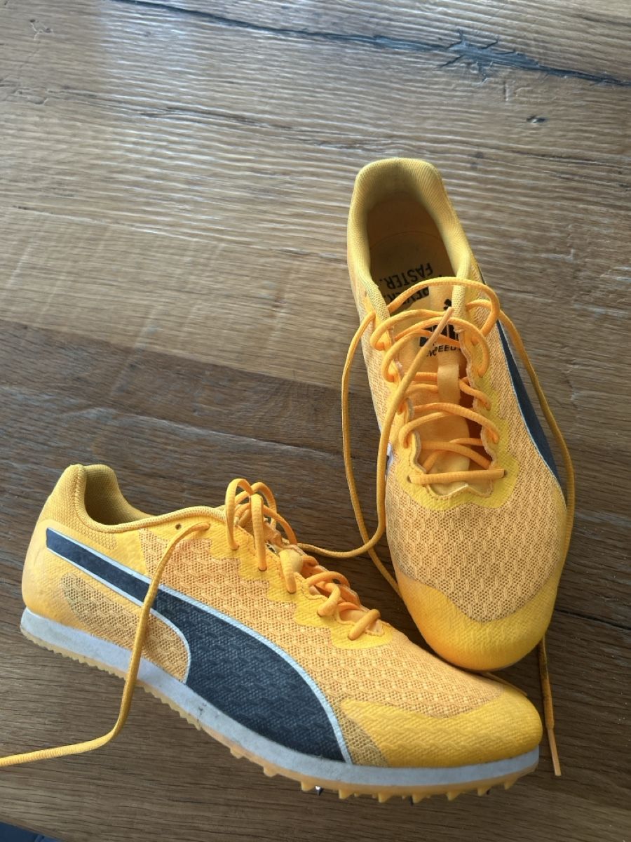 Puma Herrenschuhe: Nagelschuhe Grösse 38 puma – Gebraucht aus Fischbach- Göslikon von Rommel 1