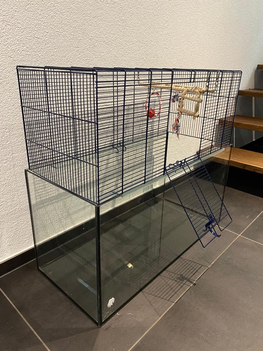 Gabbie, trasporto & Sicurezza: Hamsterkäfig – Usato da Oberdiessbach venduto da aurox