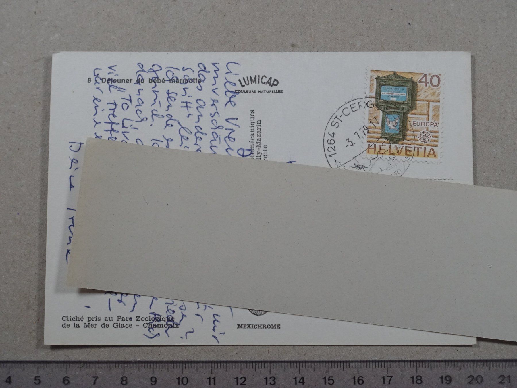Cartoline postali: Murmeltier, Marmotte, Stempel St-Cergue, 1977 – Usato da Lenzburg venduto da fh1 1