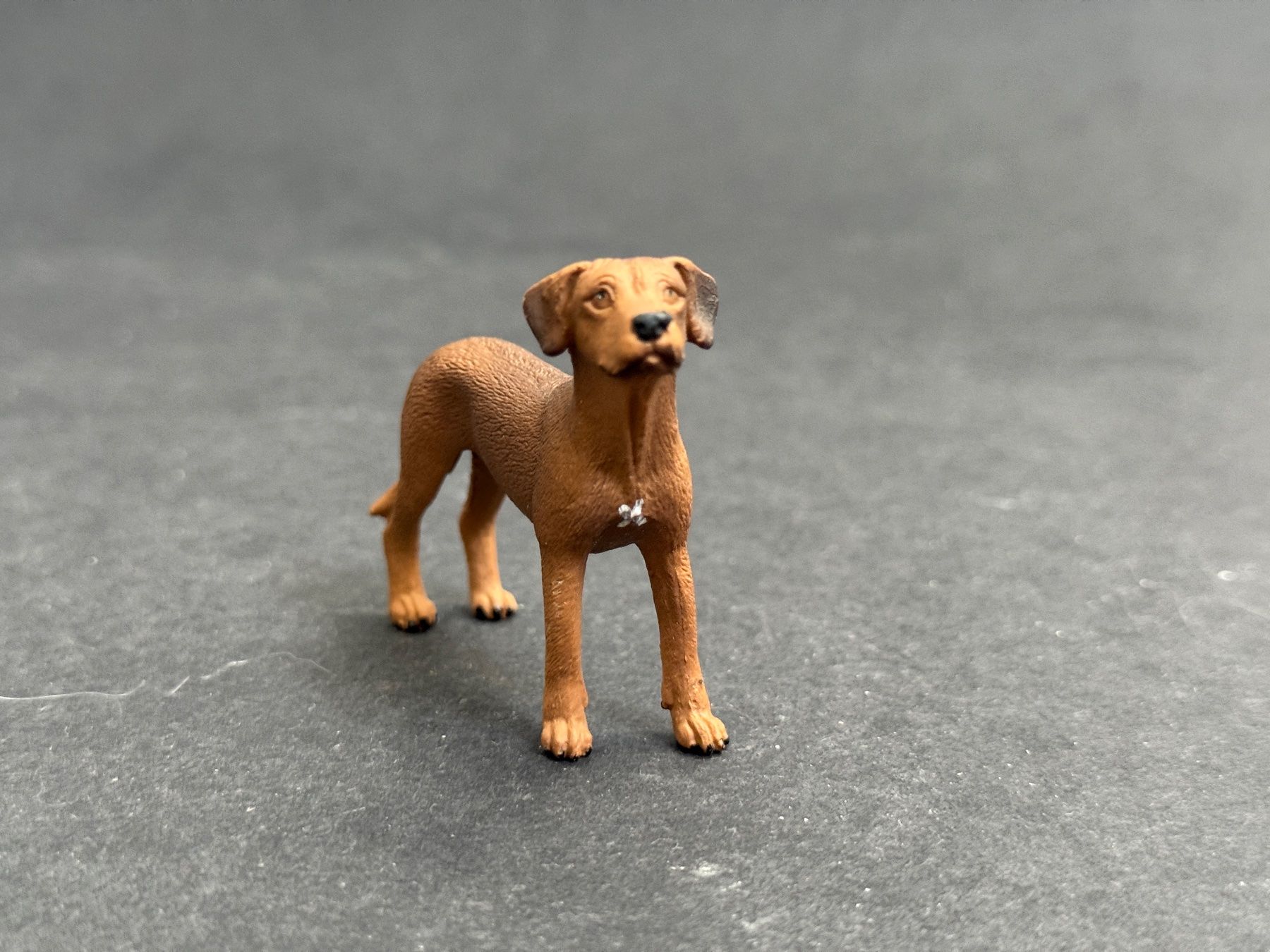 Schleich Figuren: Schleich Rhodesian Ridgeback Hund – Neu (gemäss Beschreibung) aus Ennetbaden von mapa05 3