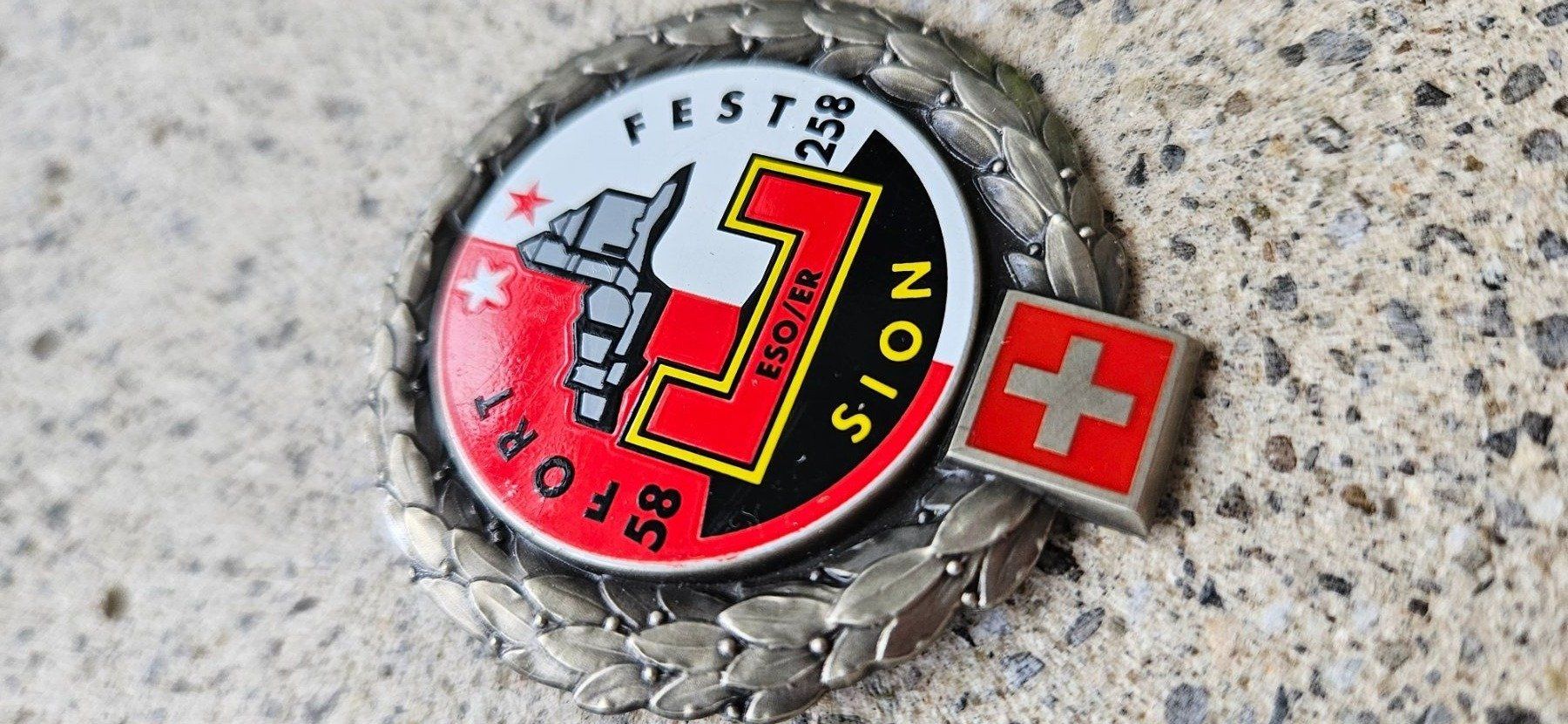 Schweizer Armee Placchette & Badge: *** Beretemblem Fort Fest Sion *** – Nuovo (secondo la descrizione) da Riedholz venduto da fr_sIruP 1