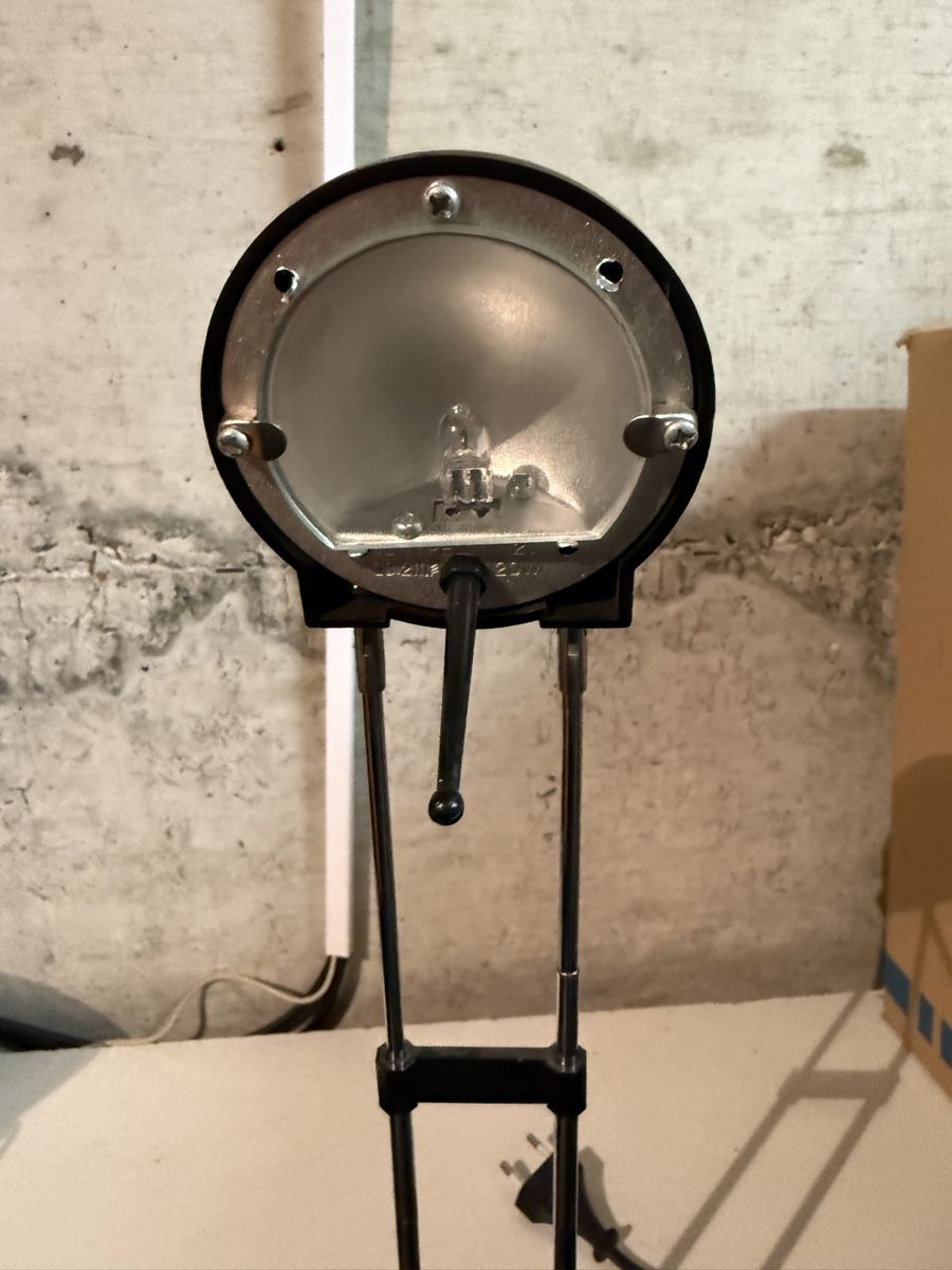 Lampade: Tischlampe Halogen höhenverstellbar – Usato da Frieswil venduto da papagei9 1