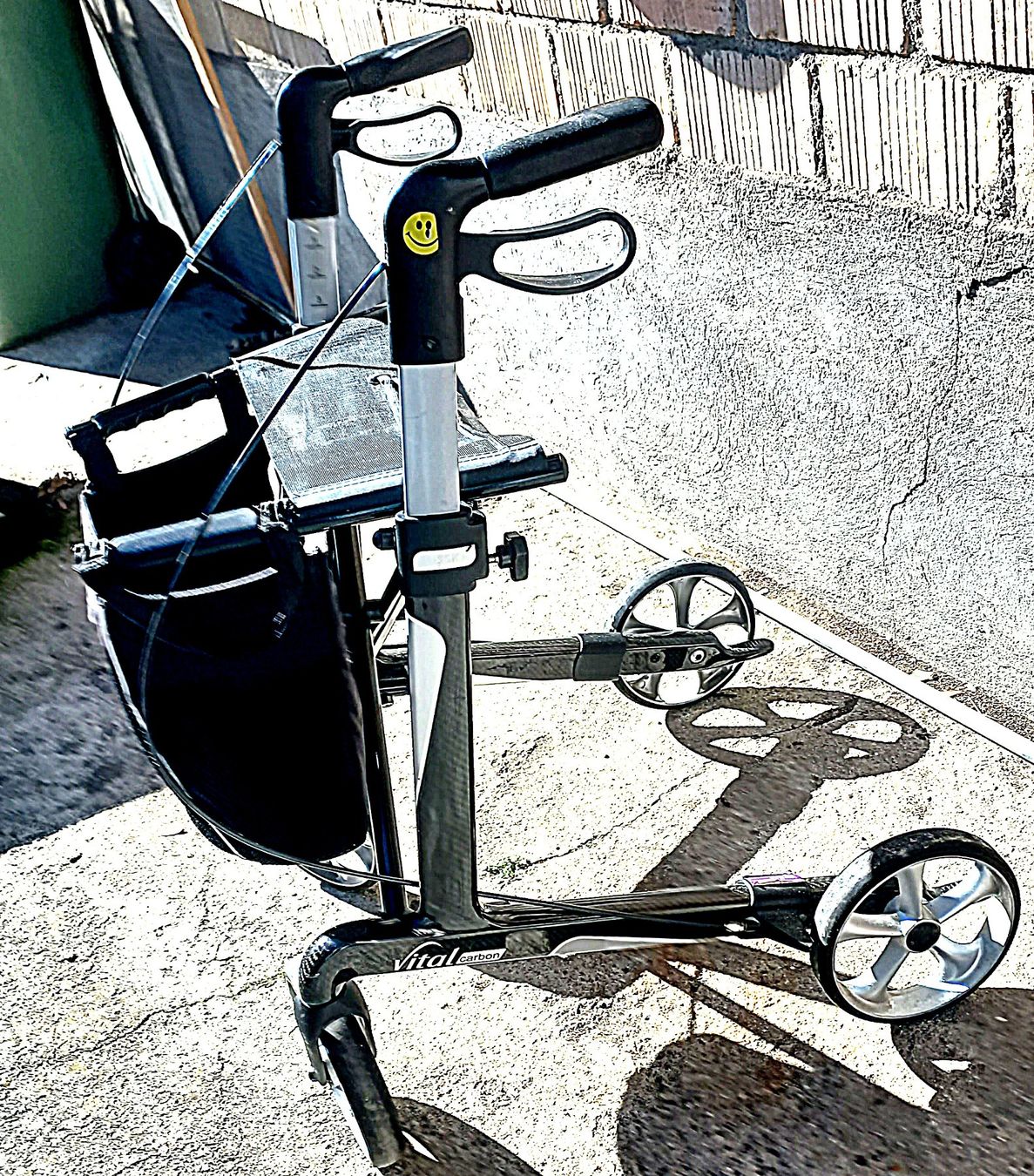 Ausili per la deambulazione: Rollator Vital Carbon – Usato da Baar venduto da 2cvbaar