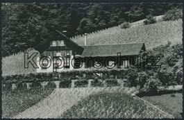 ZH Weiningen
