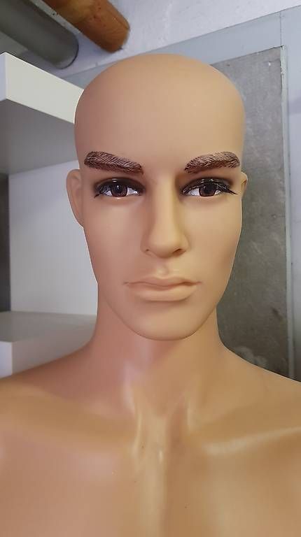 Altro in Decorazioni & Accessori: Schaufensterpuppe  – Usato da Allschwil venduto da Mani6090 1