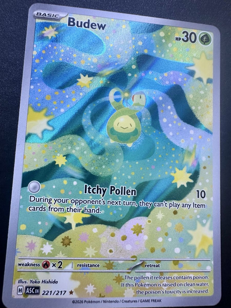 Pokémon Carte collezionabili: Budew #221 - Ascended Heroes - Ab 1.- CHF! – Usato da Bern venduto da HugoStiglitz11 3