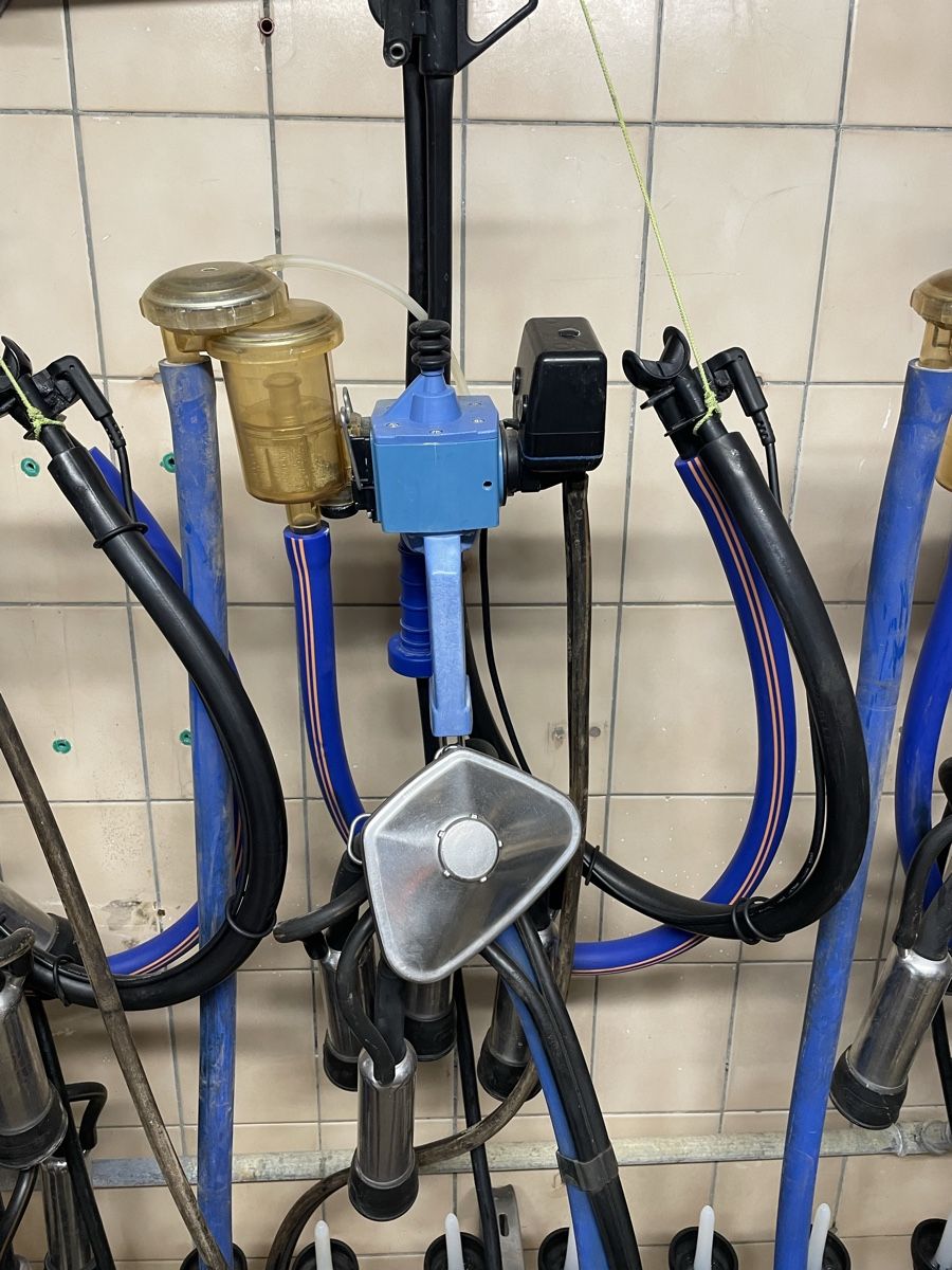 Tutte le macchine: Melkmaschine Melkzeug DeLaval – Usato da Hergiswil LU venduto da 19JZ87 1