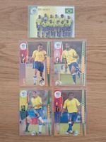 PANINI WORLD CUP 2006 TRADING CARDS BRAZIL