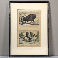 John Royce - Ancienne gravure, vers 1778