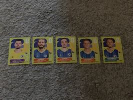 Panini Sammelbilder Bosnien Herzegowina 