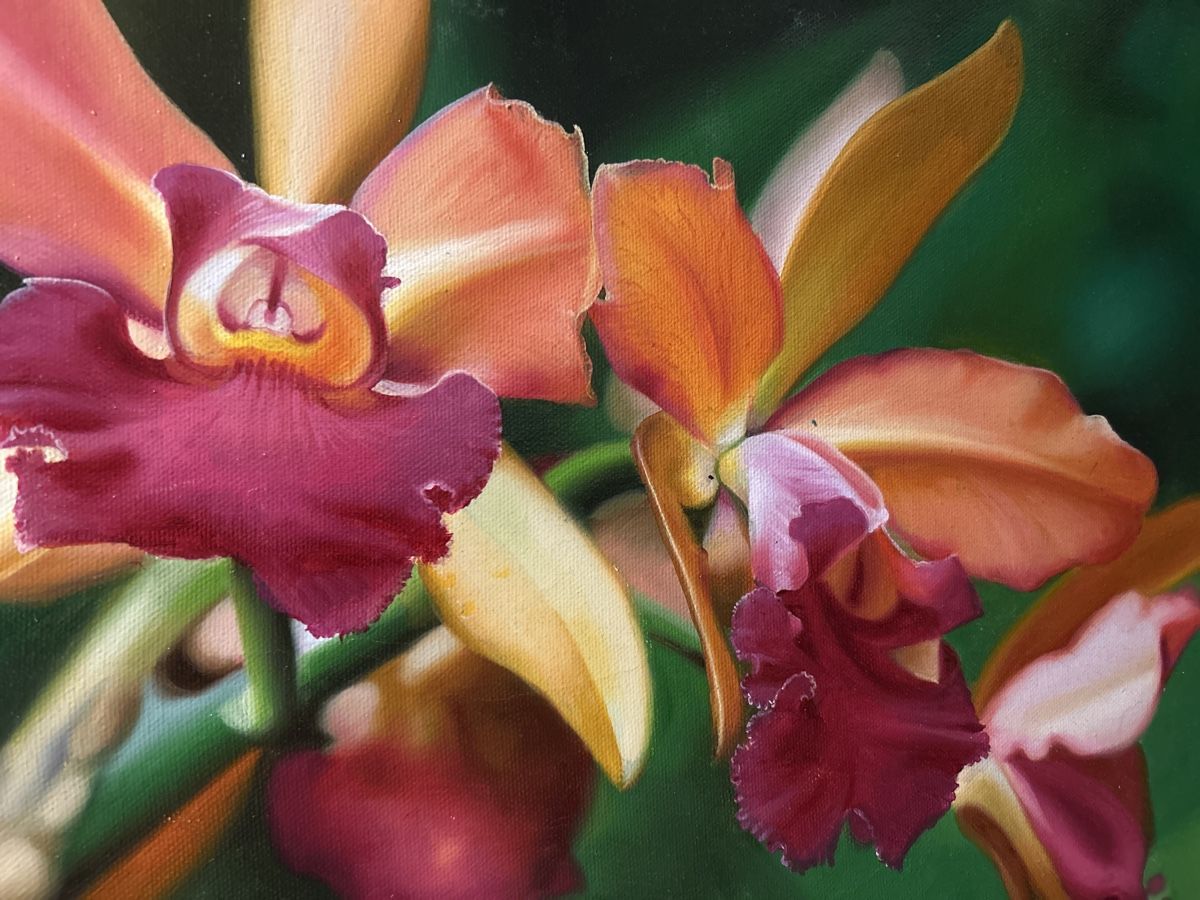 Dipinti: Wunderschönes Orchideen Gemälde, Blumenbild, signiert – Usato da Glarus venduto da KunstWerkEr-LS87 2