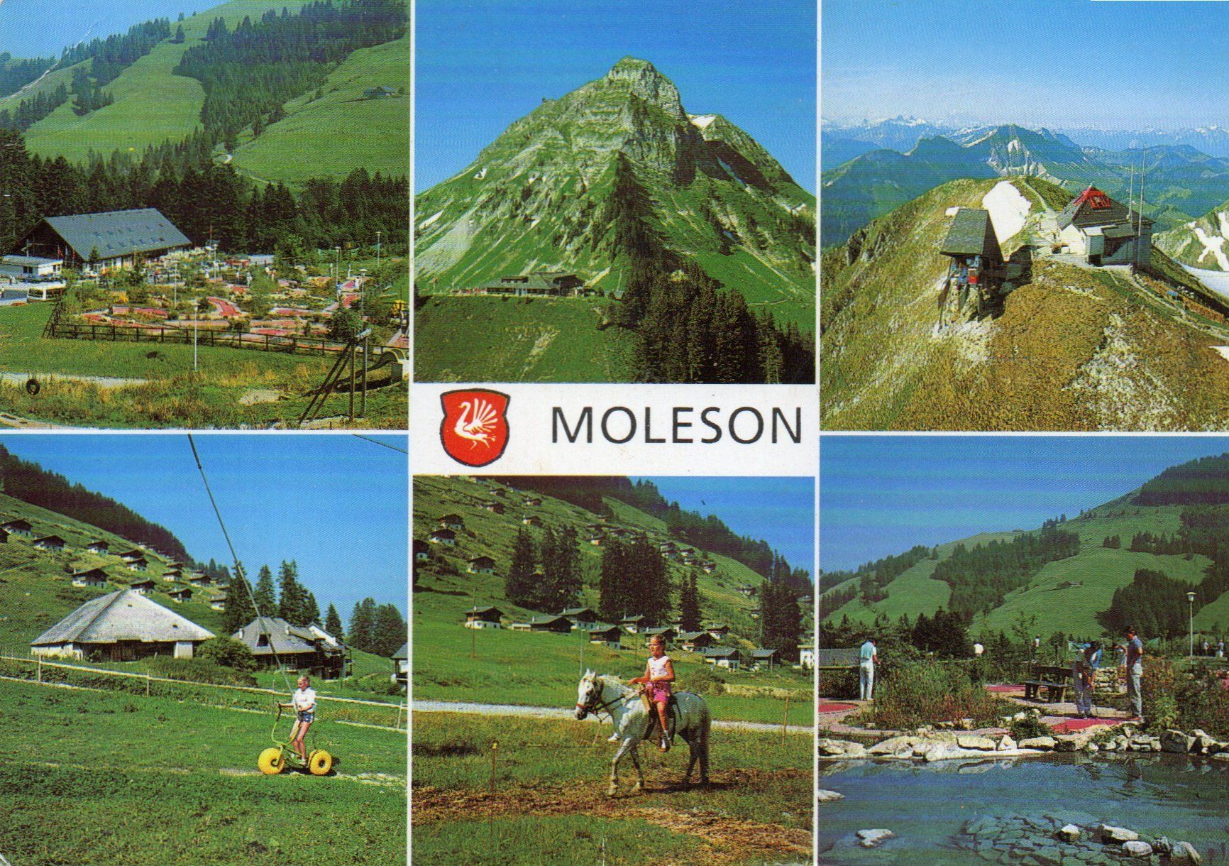 Ansichtskarten: Moleson – Gebraucht aus Melano von pisonsdro