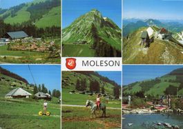 Moleson