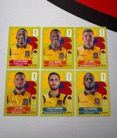 Panini WM 2026 Sticker - Ecuador Lot