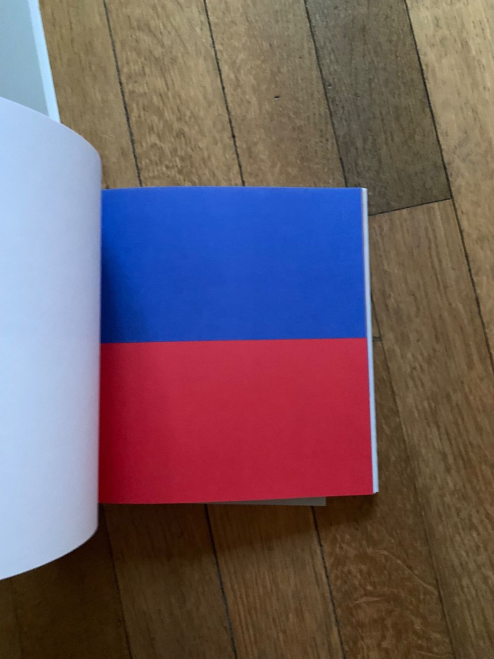 Libri: Ellsworth Kelly Line Form Color – Usato da Obfelden venduto da Zocci 2