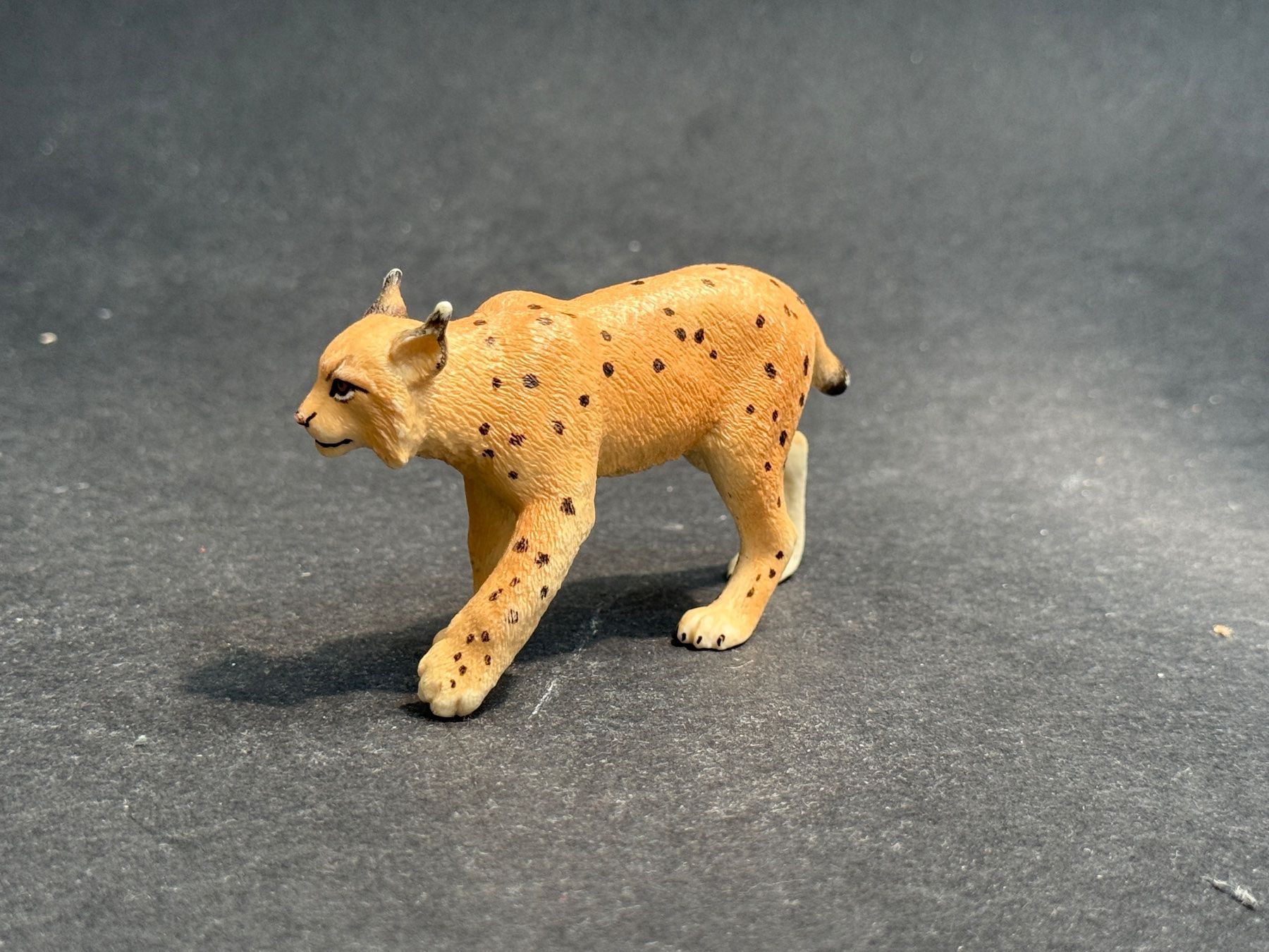 Schleich Statuette: Schleich Luchs Luchsweibchen – Usato da Ennetbaden venduto da mapa05 3