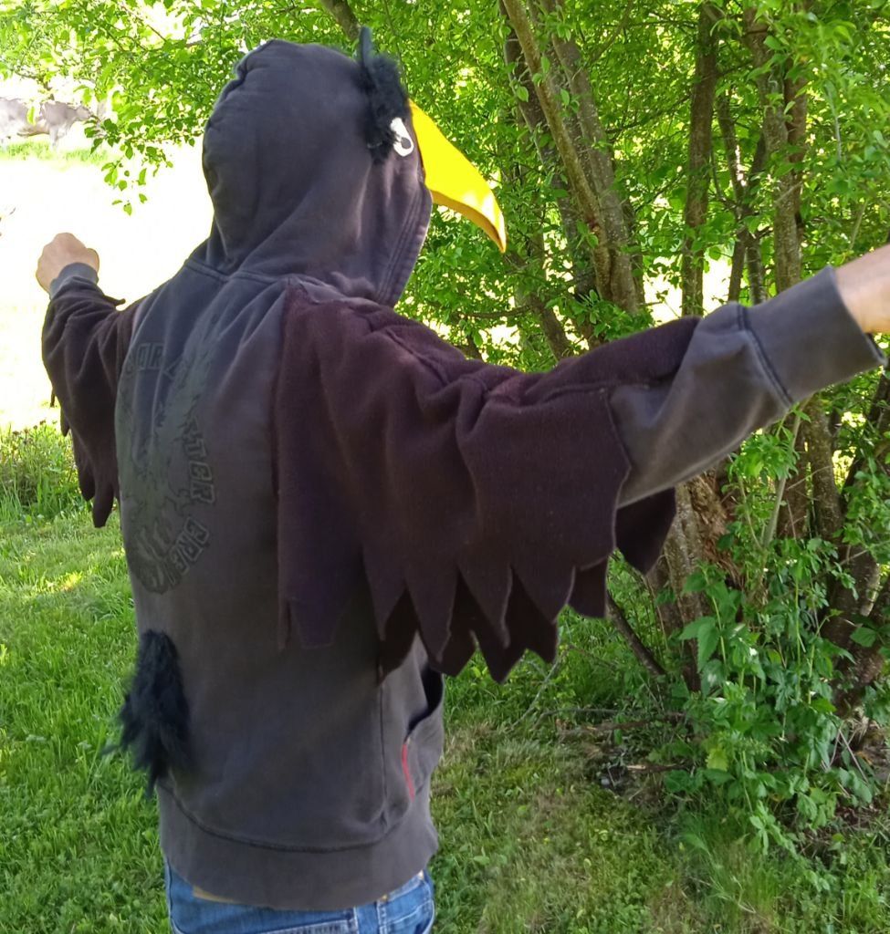 Costumi: Kostüm Rabe – Usato da Bäretswil venduto da Leiset 1