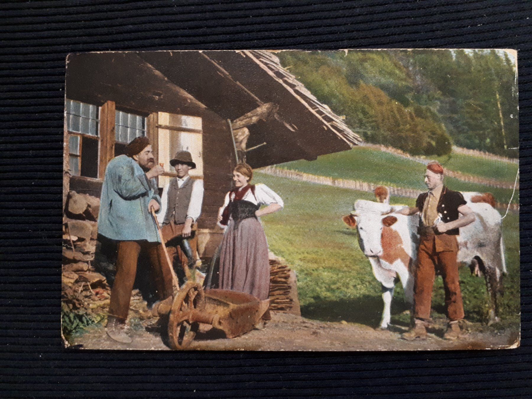 Cartes postales: ALPENSCHAFT - ANIMIERT – D'occasion à Ponto Valentino par giorgia06