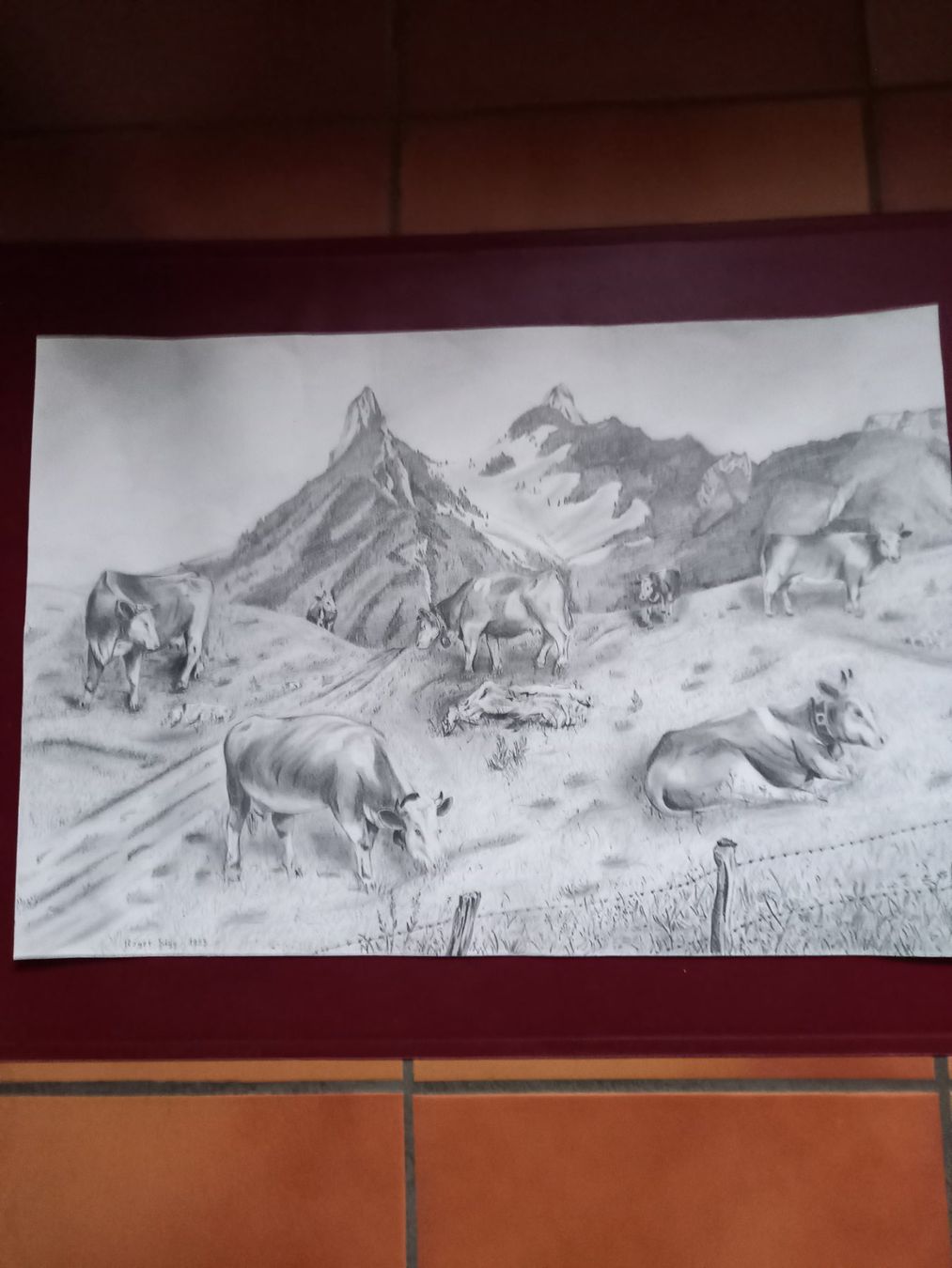 Bleistifte, Farbstifte & Kreide: Dessin – Gebraucht aus Epagny von sig_fj9g
