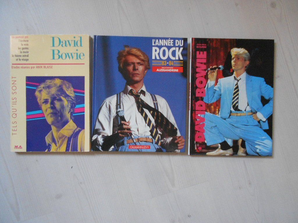 Libri: DAWID BOWIE  -  3 X LIVRES – Usato da Bex venduto da Giorgiob