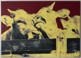 Kunstbild Kühe