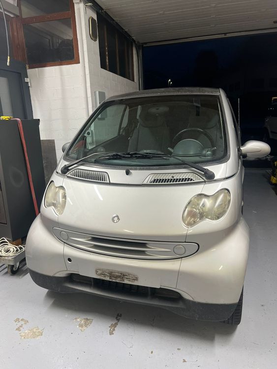 Smart Automobili: Smart – Usato da Muzzano venduto da Muz-piod6933