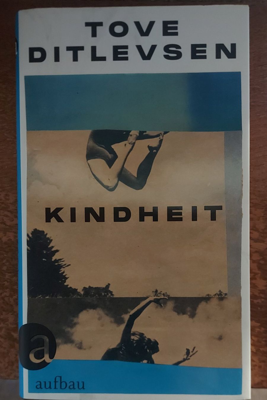 Libri: Tove Ditlevsen - Kindheit – Usato da Winterthur venduto da ugahugah