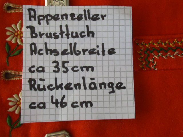 Dipinti: Appenzeller Brusttuch – Usato da Stein AR venduto da dylesi 9