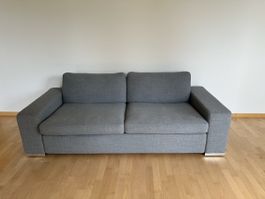 Hochwertiges COR Designer-Sofa in Grau (2.5-Sitzer)