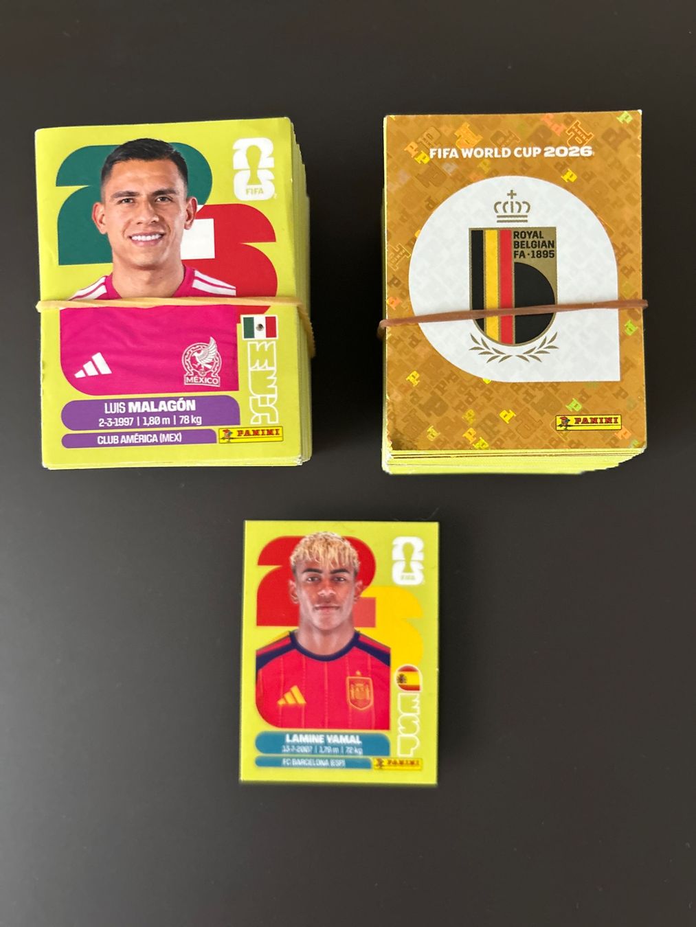 Panini Carte collezionabili: Keine doppelte Panini Sticker 420 Stück – Nuovo (secondo la descrizione) da Hünenberg See venduto da wer_5286