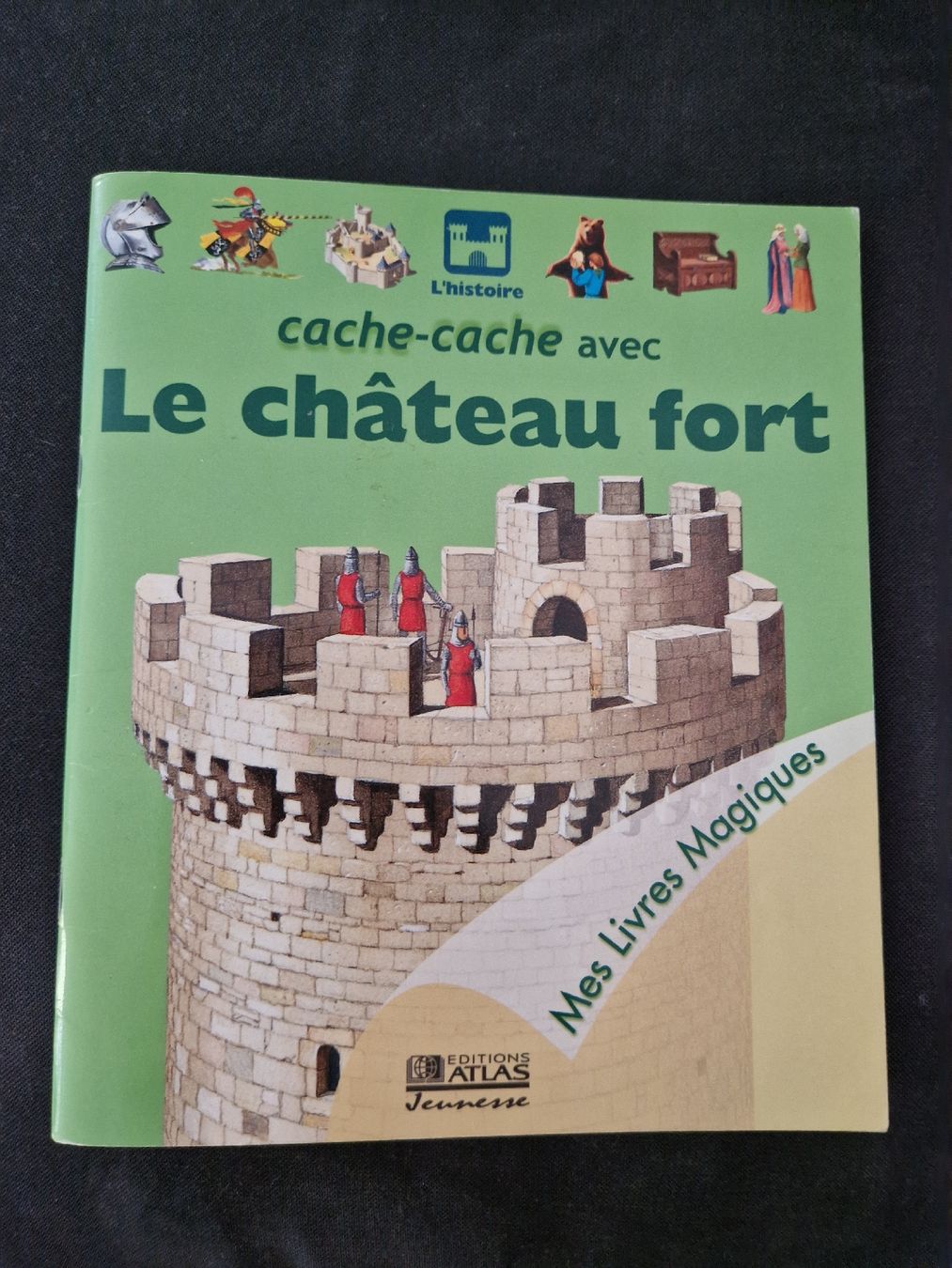 Libri: Cache-cache avec Le château fort – Nuovo (secondo la descrizione) da Villars-sur-Glâne venduto da Agnie80