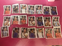 Panini Cola Sticker