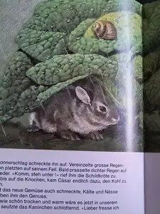 Libri: Antikes Kinderbuch "Cäsar, das furchtlose Kaninchen" – Usato da Schöfflisdorf venduto da KKB-Team1 1