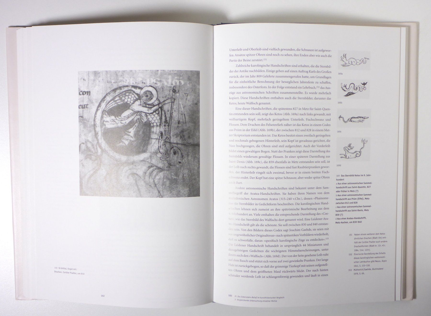 Libri: Matthes/Speckner: Relief Externsteinen – Usato da Erschwil venduto da taglang 5