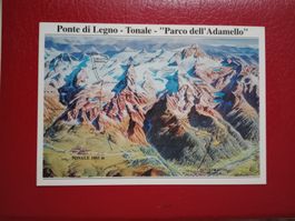 AK Italien Panorama Relief Ponte di Legno-Tonale- P.d.Adamel