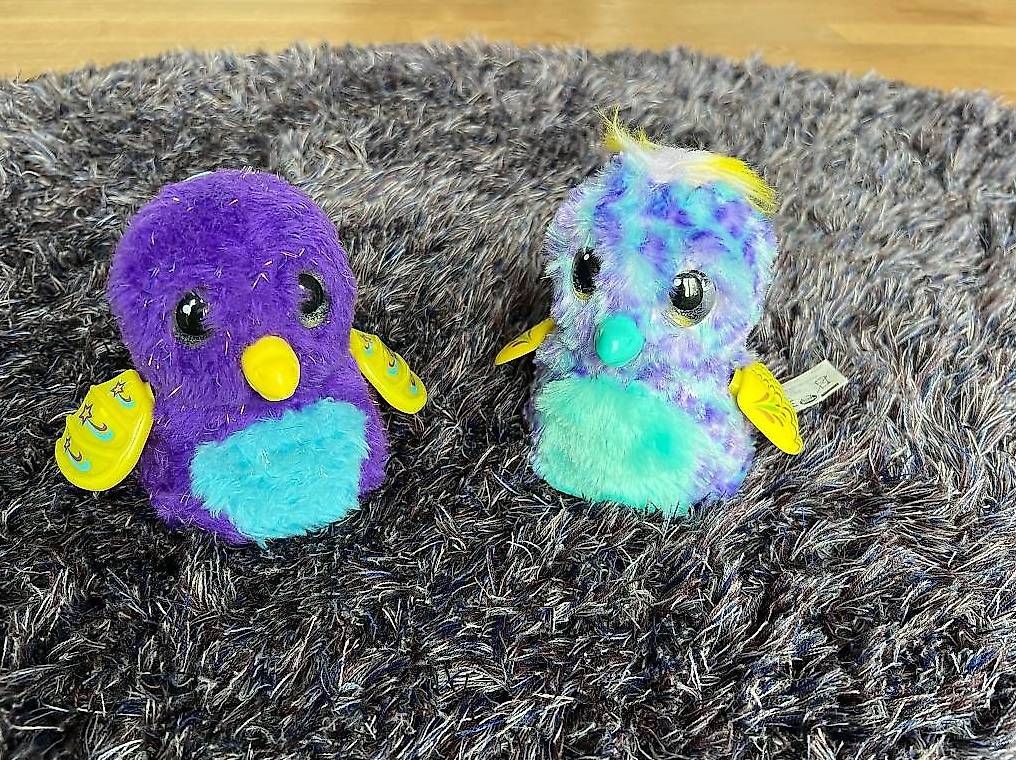 Hatchimals Giocattoli: Hatchimals Alive (2 Stück) - Neu – Nuovo (secondo la descrizione) da Oberrohrdorf venduto da Augustus5