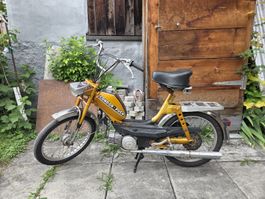 Puch condor x30 NL mit Ausweiss