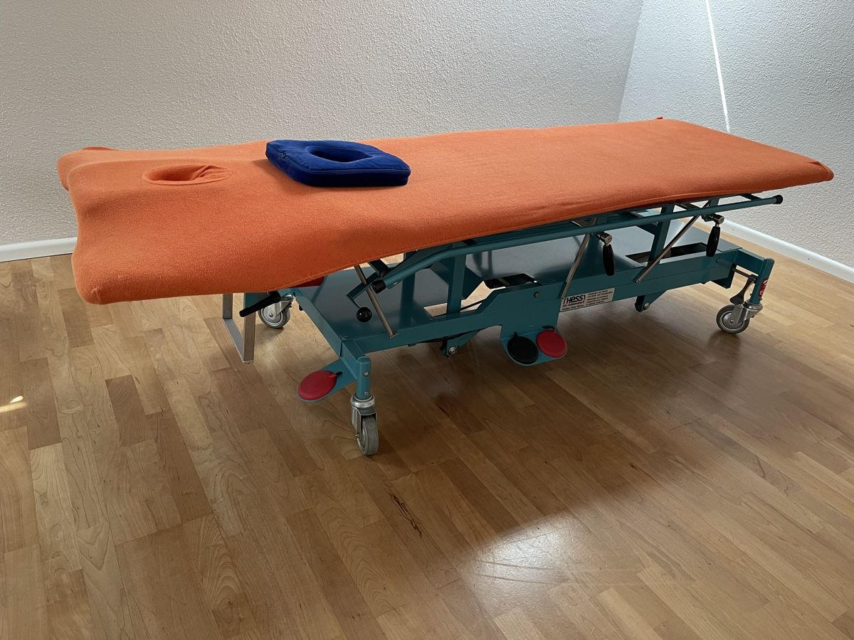Sedie a sdraio: Therapieliege elektrisch – Usato da Basel venduto da grieg325