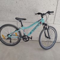 Stoke Bike Gr. m