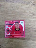 🤩 ALB 17 - Topps Euro 2024 Sticker