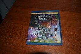 Beasts of the Southern Wild