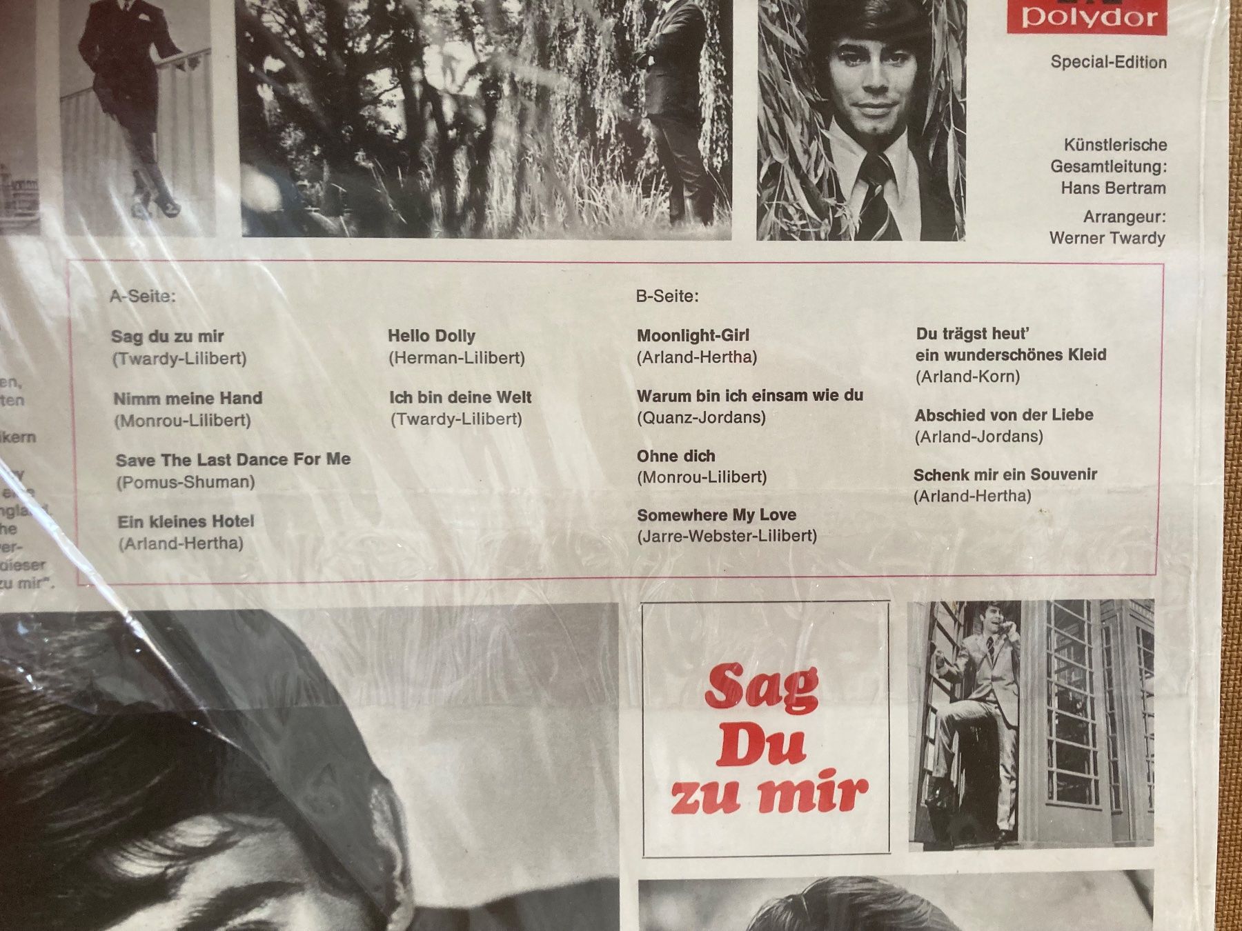Dischi in vinile: Black Roy - Sag Du zu mir - Lp – Usato da zürich venduto da papalapa 1