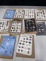 Mineralien Fossilen Muscheln Konchilien Sammlung 9 Stücke
