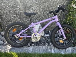 Early Rider Belter 16