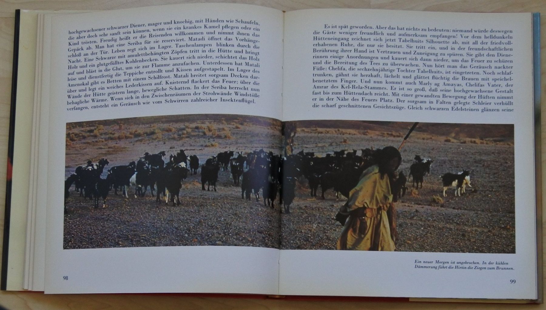Libri: TUAREG Nomaden der Sahara – Usato da Bäch SZ venduto da Parog 4